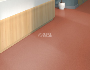 Tarkett iq Melodia 2619 фото 2 | FLOORDEALER